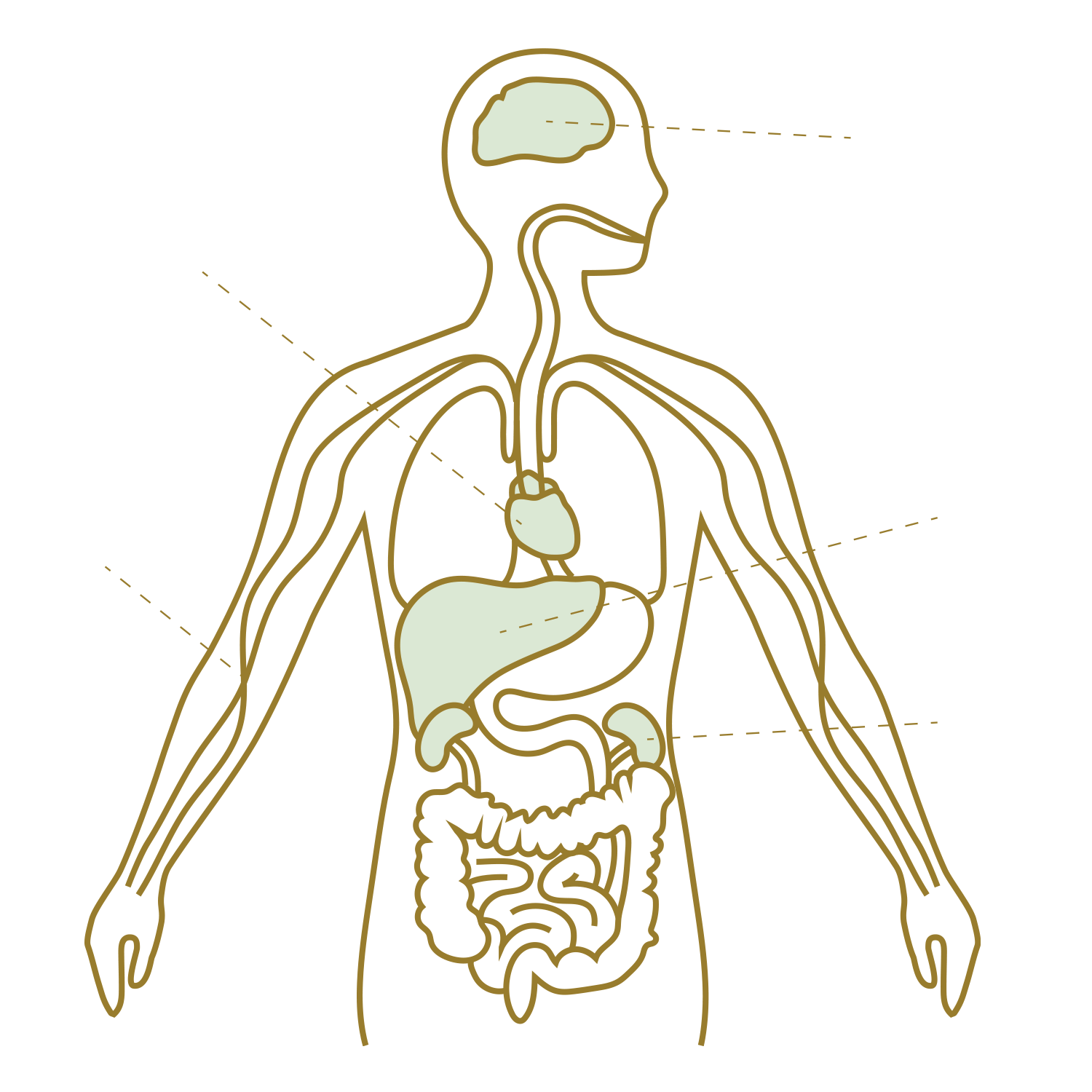 TOCOMOTO MOTOGENE GLOBAL tocomoto-motogene-global