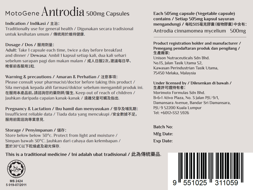 antrodia back.PNG