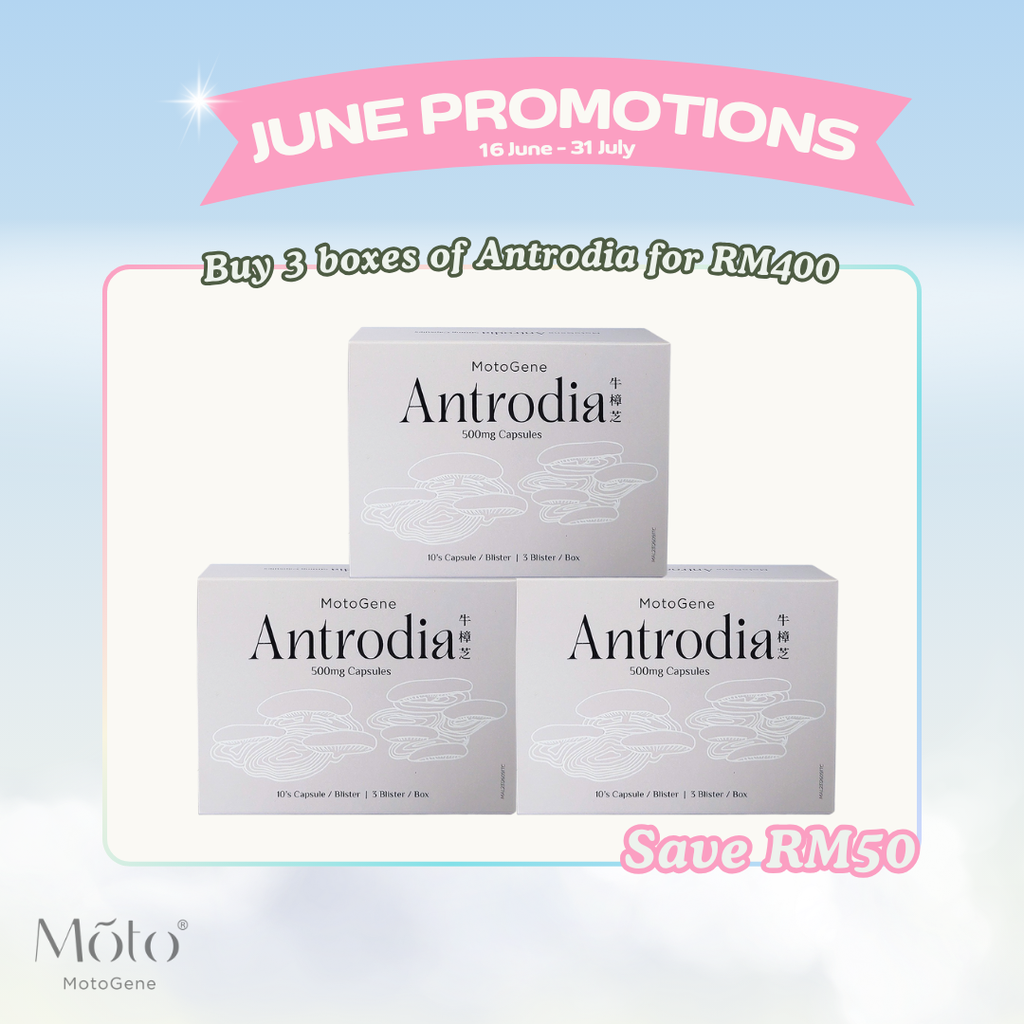 June 2025 - Special Package 3 boxes Antrodia
