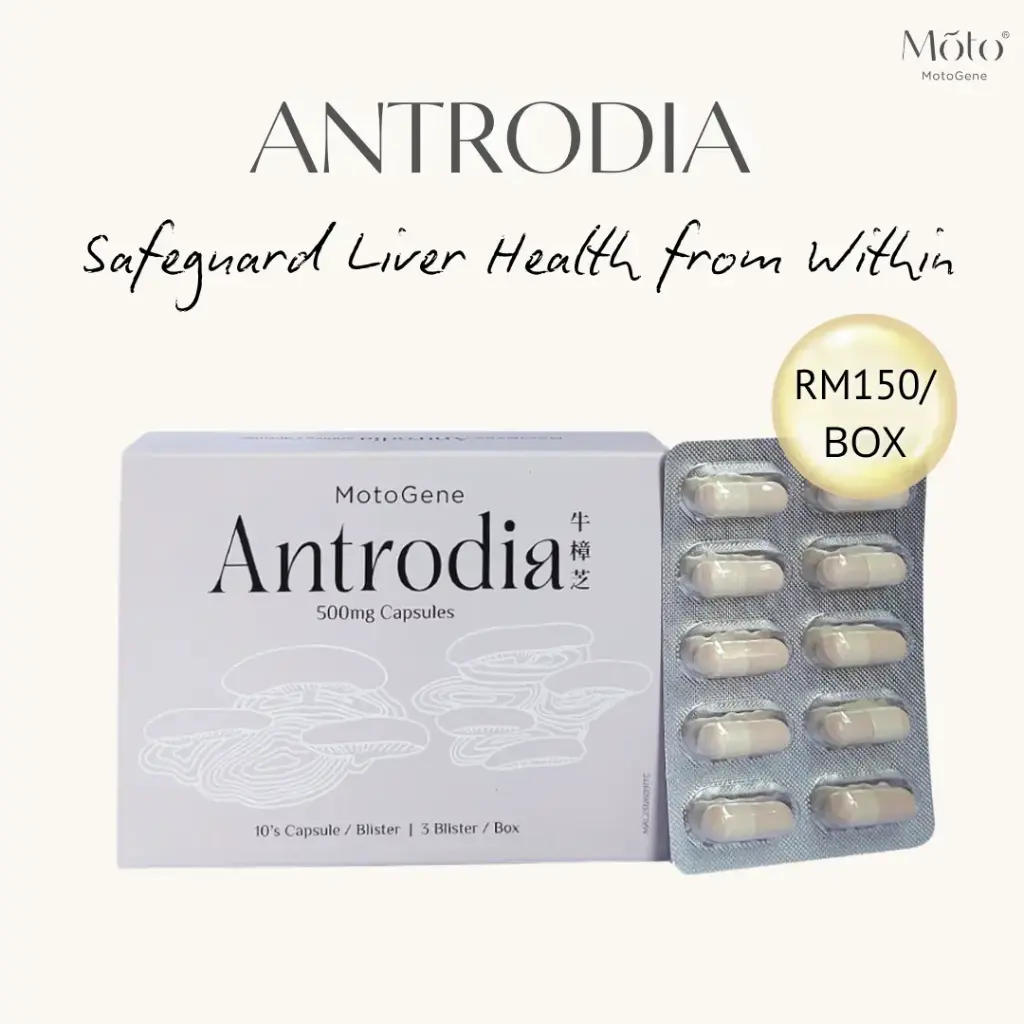 Antrodia Cinnamomea Mycelium 500mg Capsule