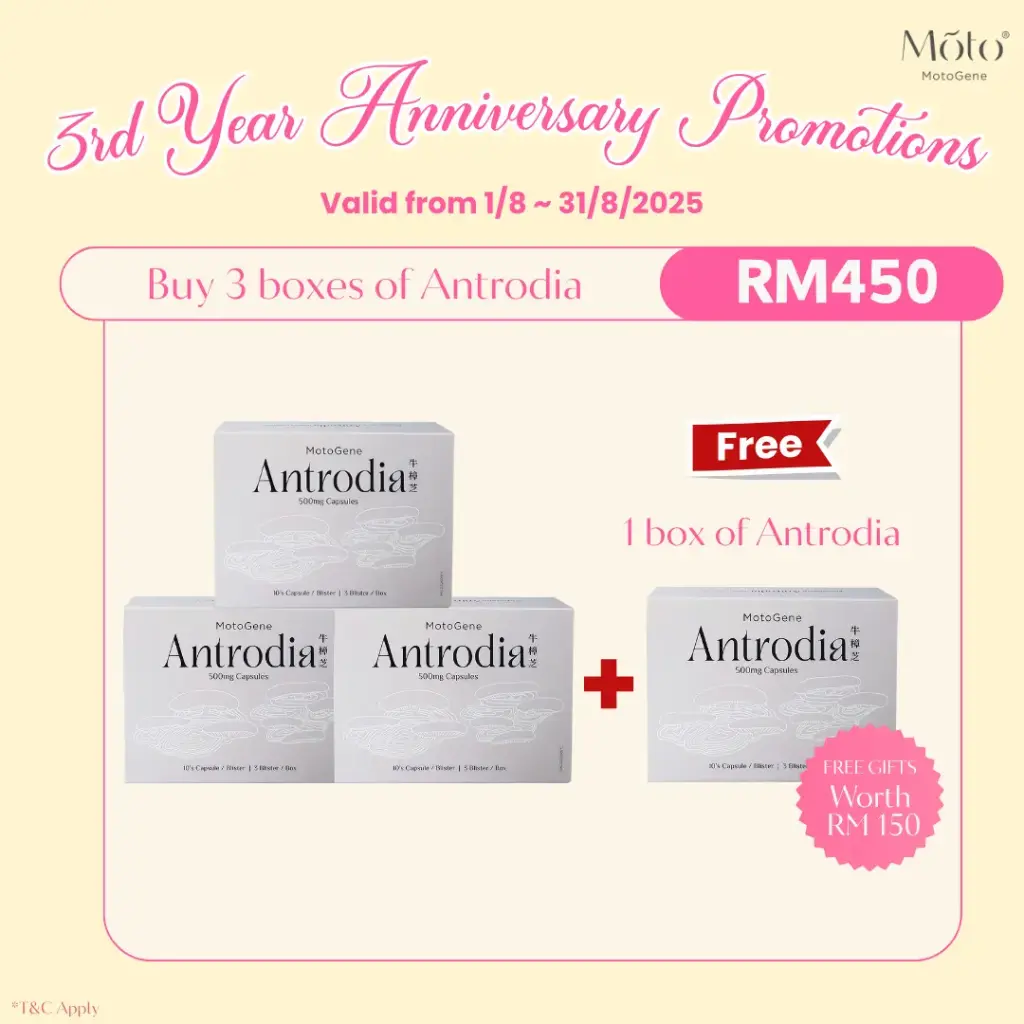 3rd Year Anniversary 2025 - Buy 3 Boxes Antrodia Free 1 Box Antrodia