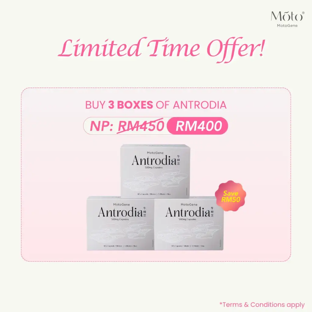 Buy 3 Boxes Antrodia (November-December '25)