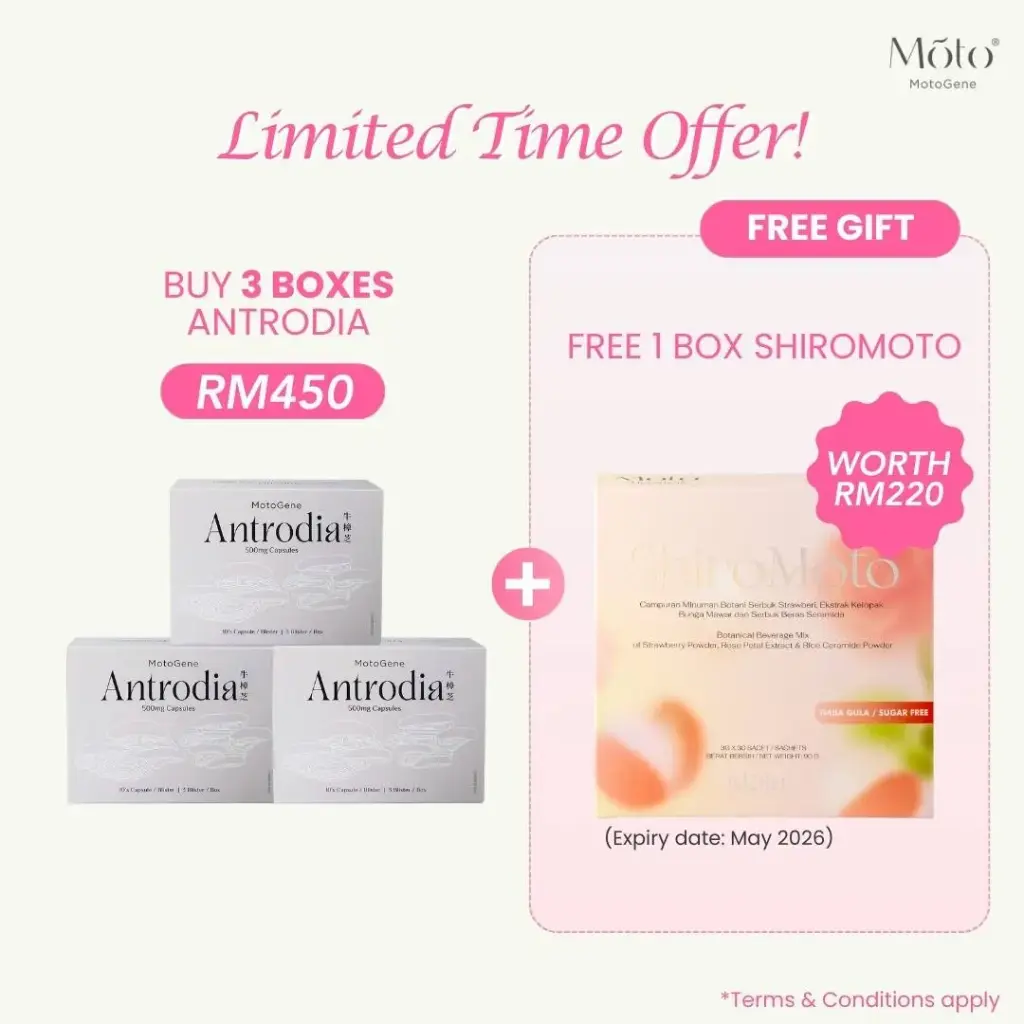 Buy 3 boxes Antrodia Free 1 box ShiroMoto (RM450)