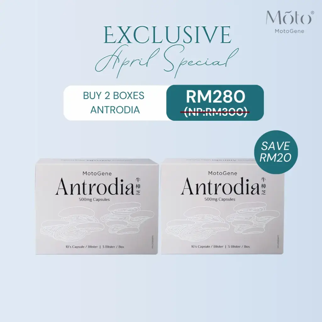 2 boxes Antrodia @RM280 