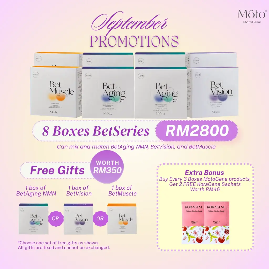 September 2026 - Bet Series 8 Boxes Pack