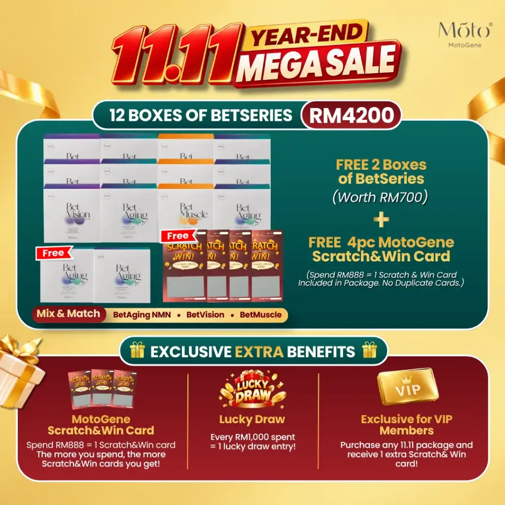 11.11 BetSeries Package - 12 Boxes