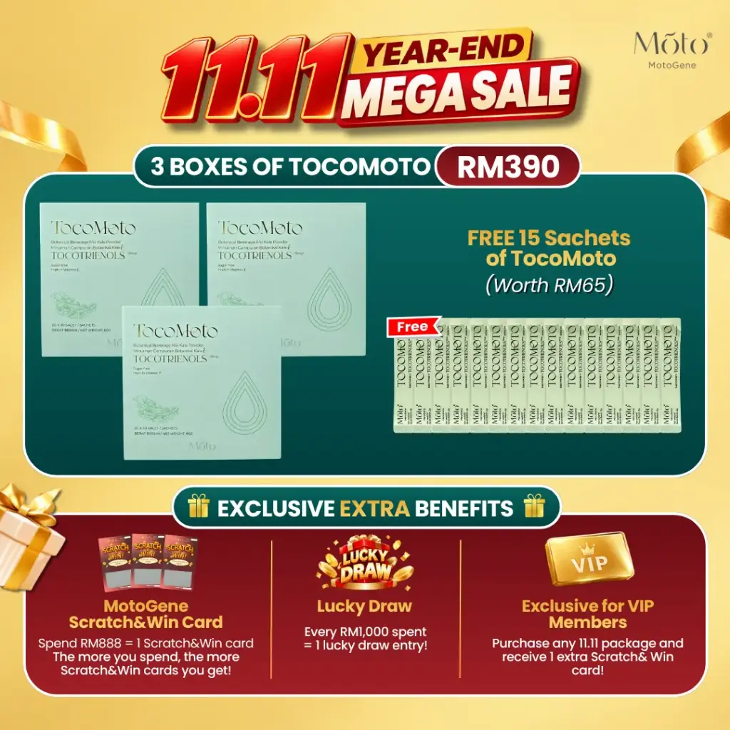 11.11 TocoMoto Package - 3 Boxes