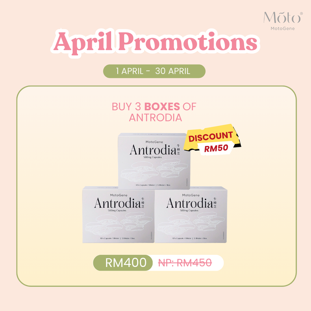April 2025 Antrodia 3 Boxes Pack