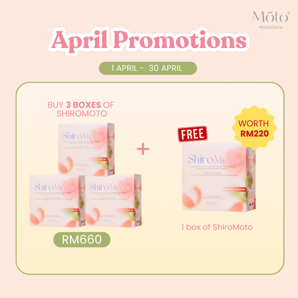 April 2025 Buy 3 ShiroMoto FOC 1 Box ShiroMoto