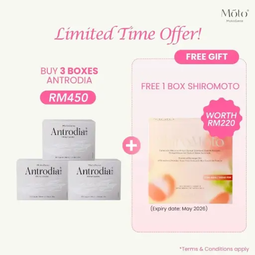 Buy 3 boxes Antrodia Free 1 box ShiroMoto (RM450)