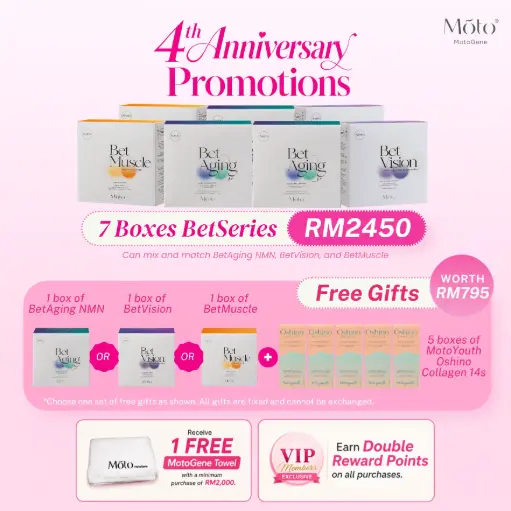 4th Year Anniversary - Bet Series 7 Boxes Pack