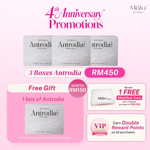 4th Year Anniversary - Antrodia Triple Pack 