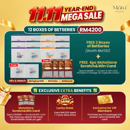 11.11 BetSeries Package - 12 Boxes