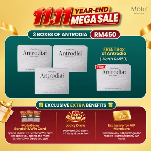 11.11 Antrodia Package - 3 Boxes