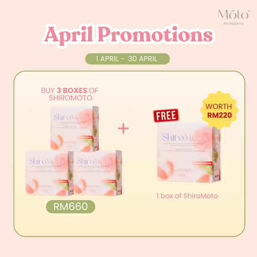 April 2025 Buy 3 ShiroMoto FOC 1 Box ShiroMoto