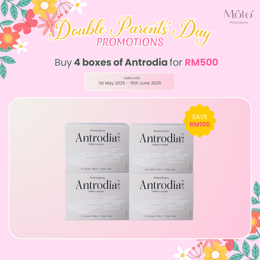 Parents Day - Buy 4 boxes Antrodia (Special price RM500)