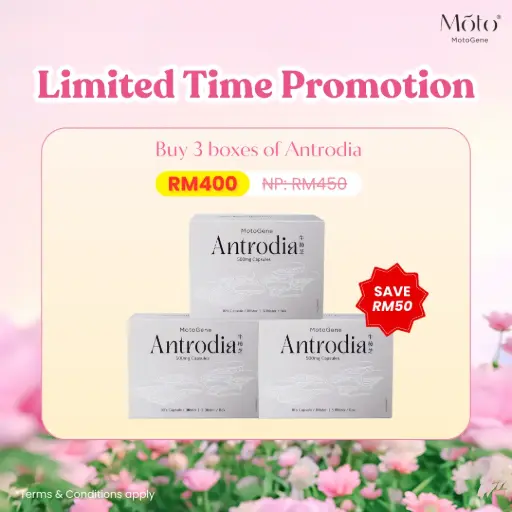 Limited Time Promotion - Buy 3 boxes Antrodia with Special Price RM400
