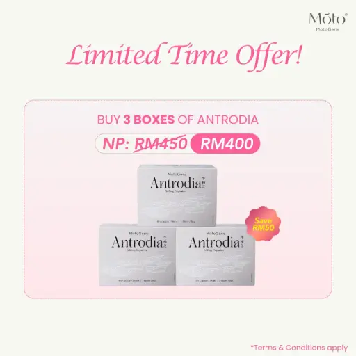 Buy 3 Boxes Antrodia (November-December '25)